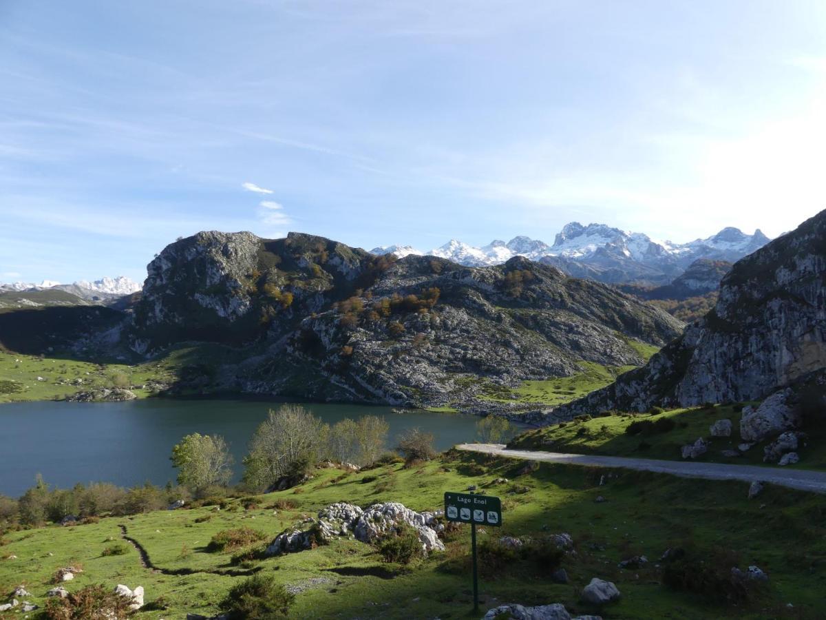 Апартаменти Cabrales Sol Карренья-де-Кабралес Екстер'єр фото